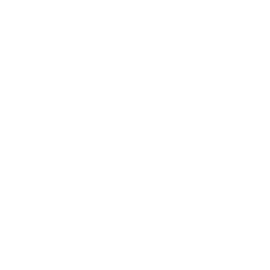 CUB SCOUT LOGO